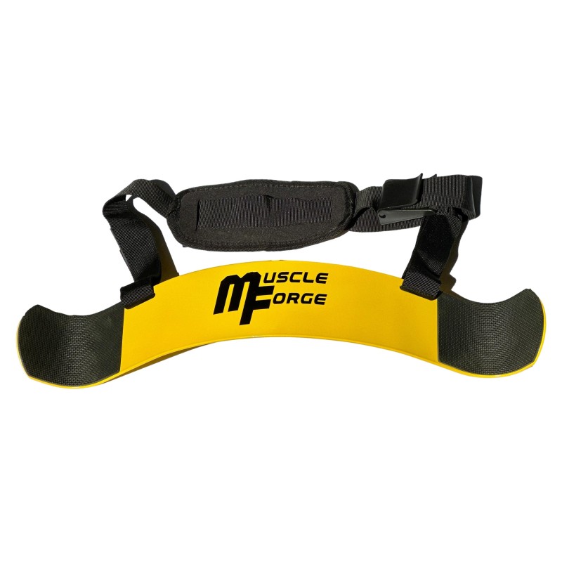 ARM BLASTER - Blaster de biceps pour le bodybuilding & les sports de force