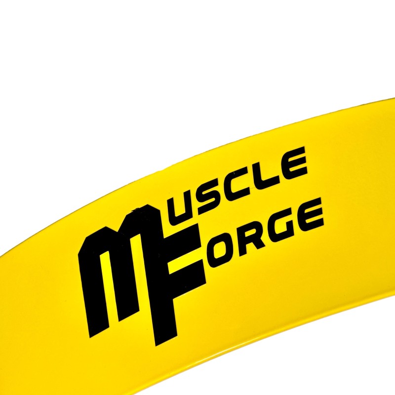 Arm Blaster - Biceps Blaster para culturismo y entrenamiento con pesas