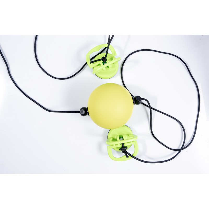 Speed Ball for box training with two suction cups