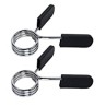 2x Spring barbell clamp 25mm