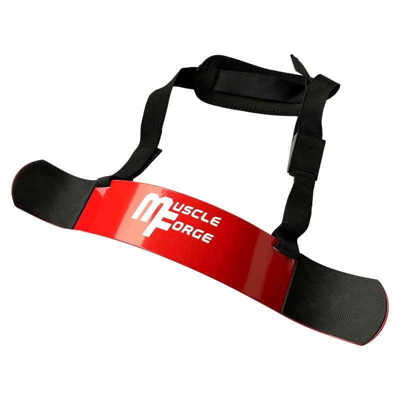 ARM BLASTER - Bizeps Blaster for Bodybuilding & Kraftsport